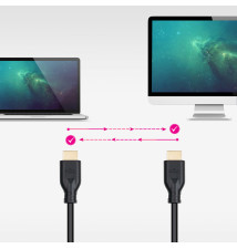 Cabo HDMI NANOCABLE (HDMI HDMI - Macho Macho - 0,5m)