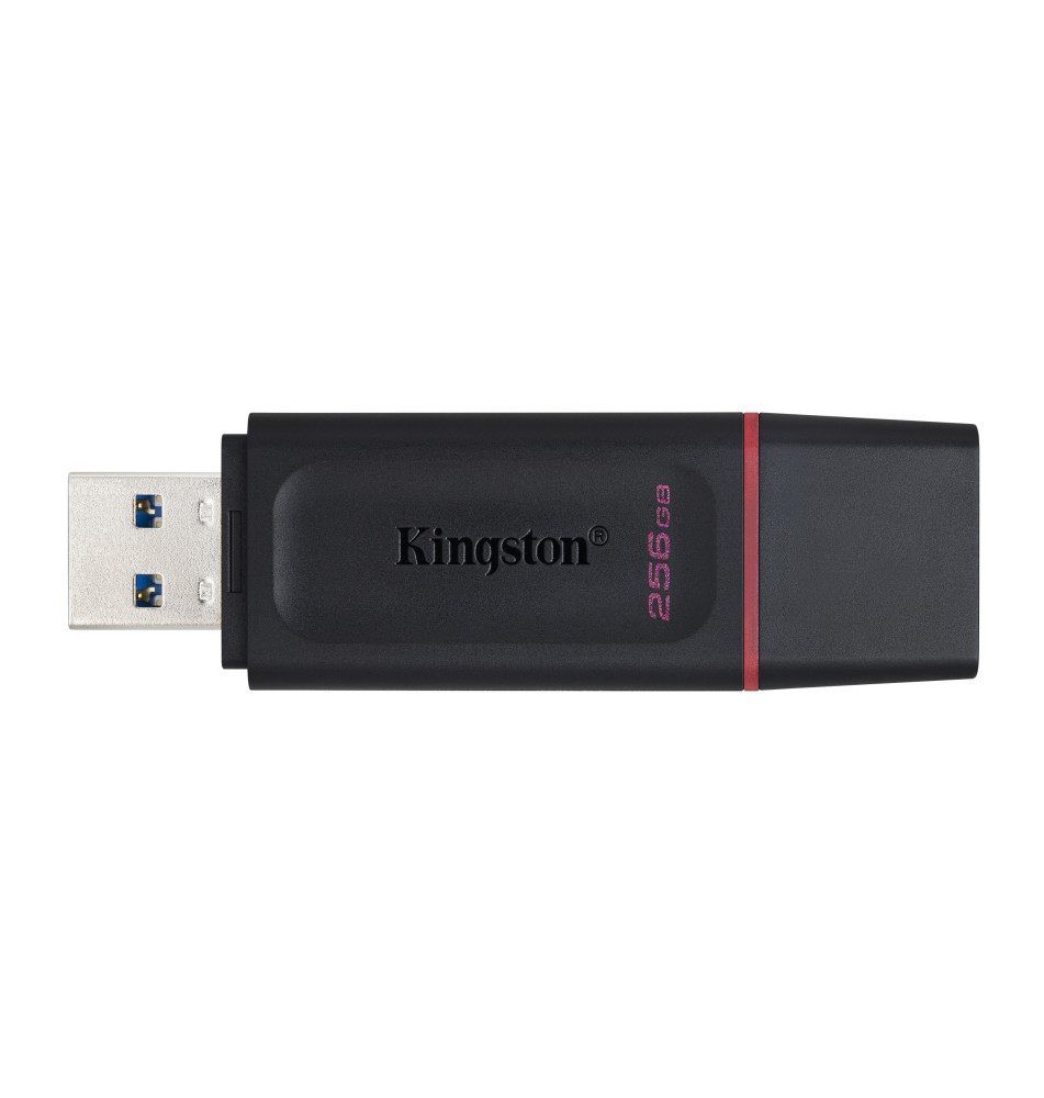 Pen Drive KINGSTON TECHNOLOGY DataTraveler Exodia (256GB - USB 3.2 - Preto Rosa)