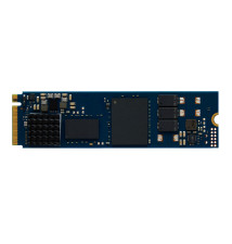 Disco SSD KINGSTON TECHNOLOGY DC2000B 240GB (M.2 - 4500MB s - PCI Express 4.0)
