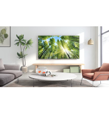 Televisor TCL 85P735 85" (LED - 4K Ultra HD - Preto)