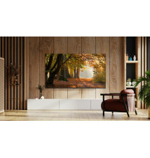 Televisor TCL 85P61B 85" (LED - 4K Ultra HD - Titânio)