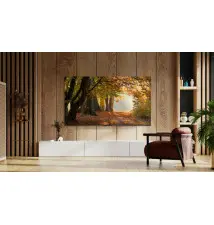 Televisor TCL 85P61B 85" (LED - 4K Ultra HD - Titânio)