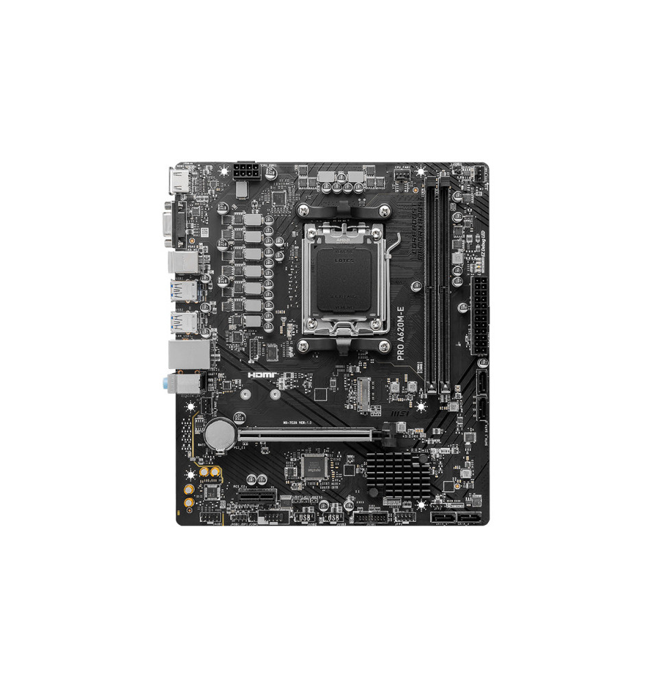 MSI PRO A620M-E