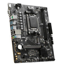 MSI PRO A620M-E