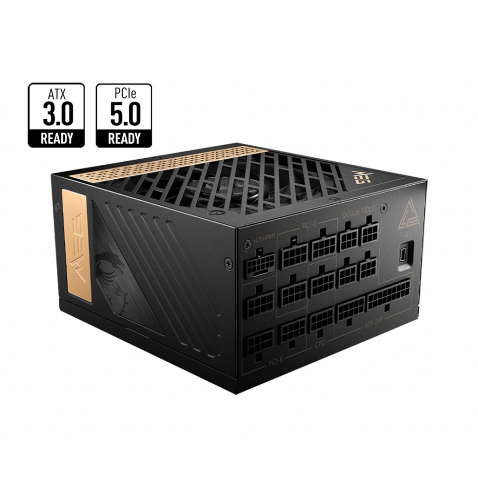 MSI AI1300P PCIE5