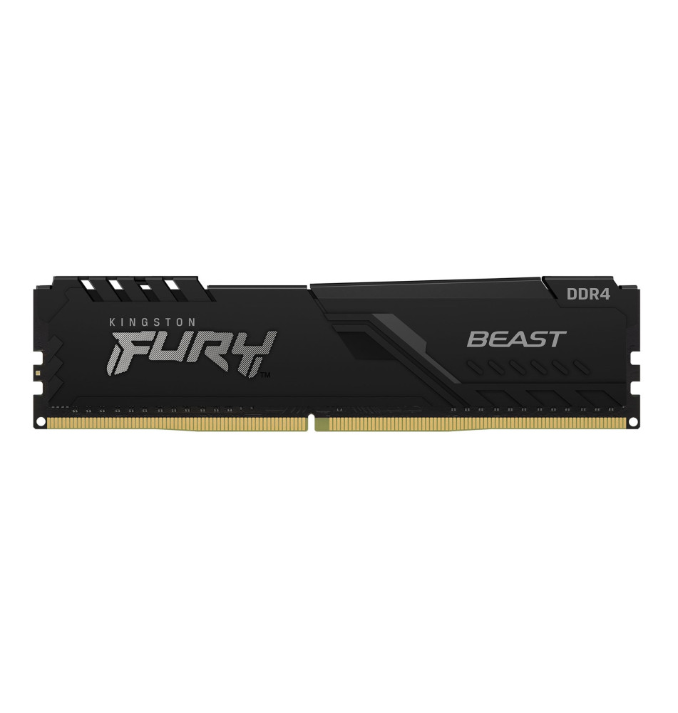 Kingston Technology Beast