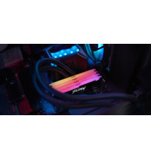 Kingston Technology Beast RGB