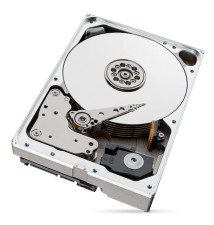 Seagate ST10000NT001