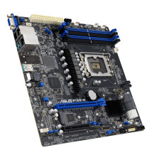 ASUS P13R M         microATX  1x LGA 1700 DDR5  2x1G  ASMB11