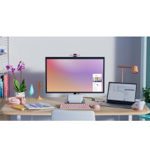  Brio 500 Rose                         960 00142