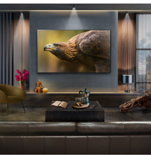 TV LG 77  77G45LW UHD OLED EVO  ALFA11 144HZ