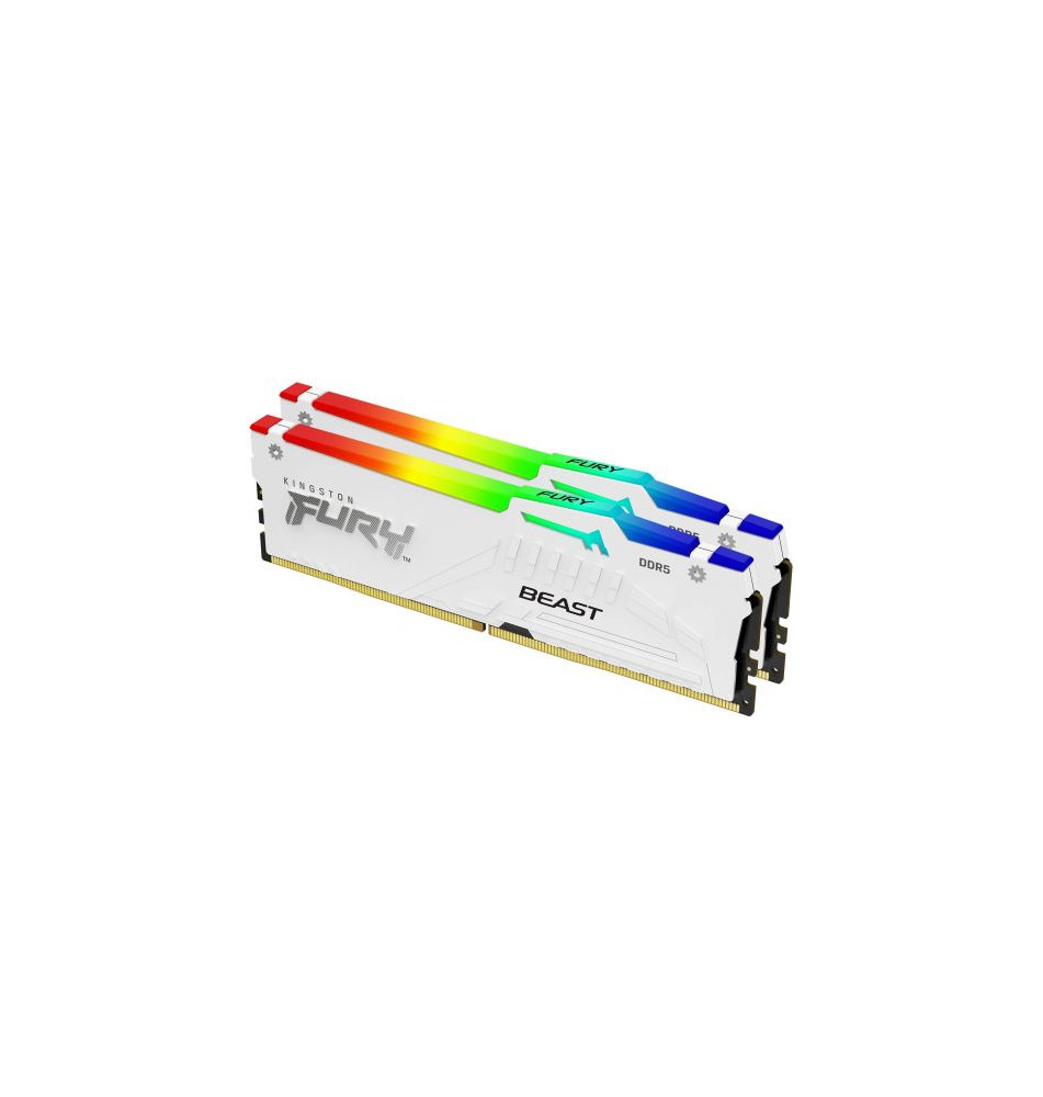 Kingston Technology Beast RGB