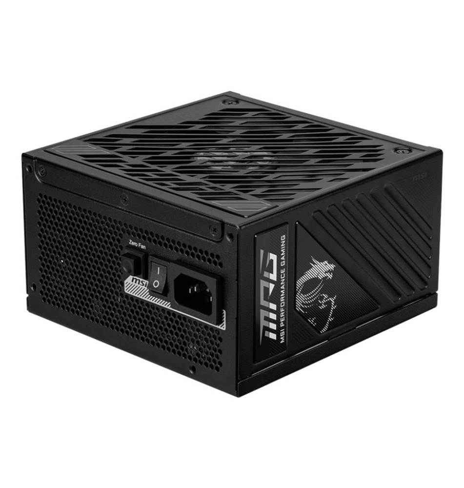 MSI A1000GS PCIE5
