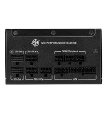 MSI A1000GS PCIE5