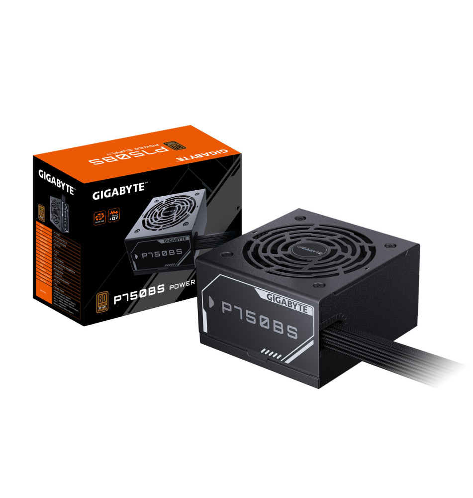 GIGABYTE P750BS