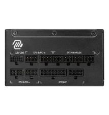 MSI A1250GL PCIE5