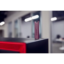 Kingston Technology DataTraveler Max unidade de memória USB 1 TB USB Type-A 3.2 Gen 2 (3.1 Gen 2) Vermelho