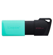 Kingston - DataTraveler Exodia M 256GB