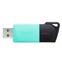 Kingston - DataTraveler Exodia M 256GB