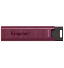 Memoria usb 3.2 kingston 256gb datatraveler max