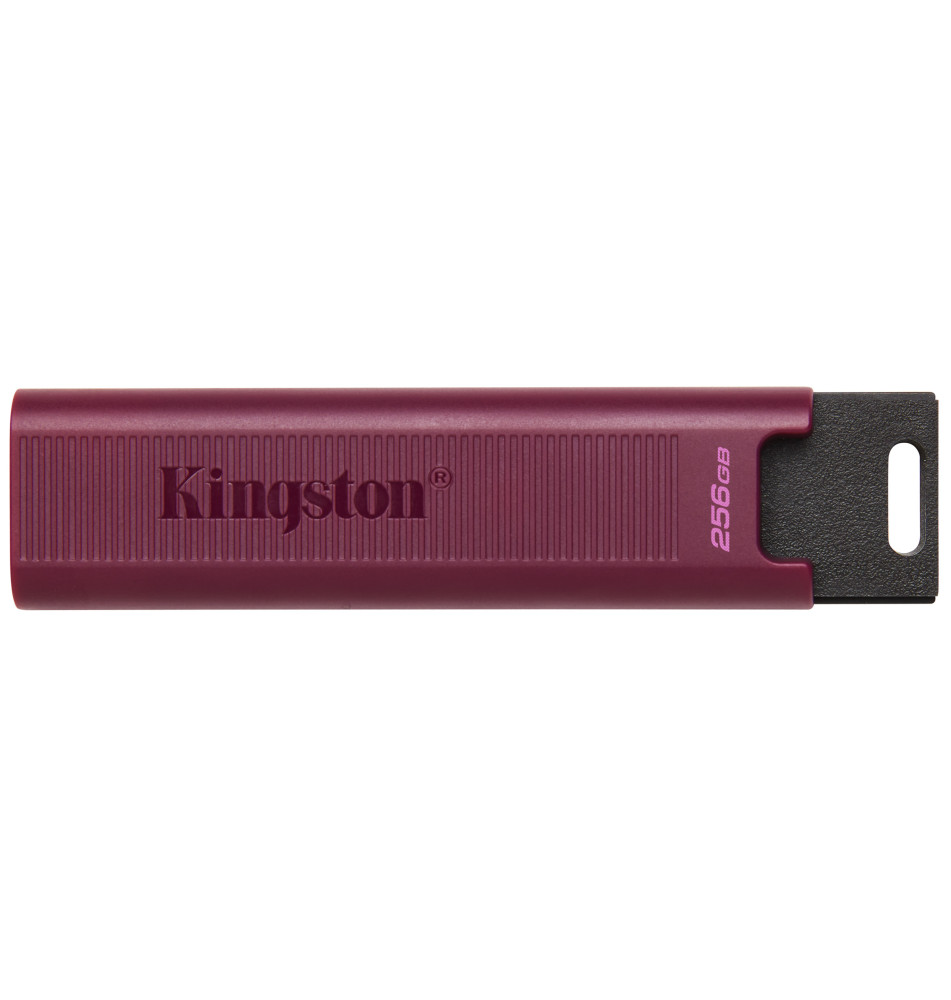 Memoria usb 3.2 kingston 256gb datatraveler max