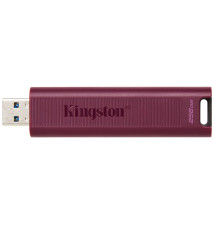 Memoria usb 3.2 kingston 256gb datatraveler max