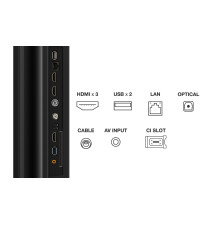 Televisor TCL P75 55" (LED - Smart TV - Titânio)