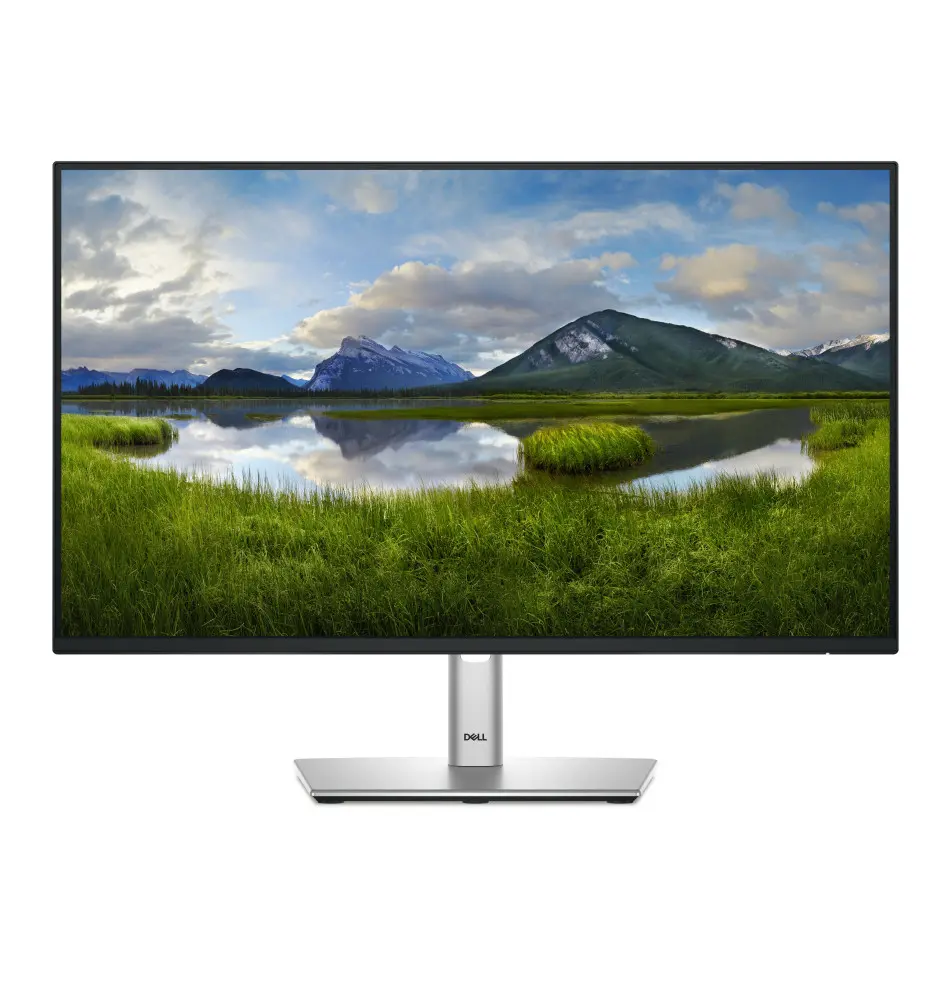 Monitor DELL P Series P2425H 24" (8ms - 100Hz - IPS)