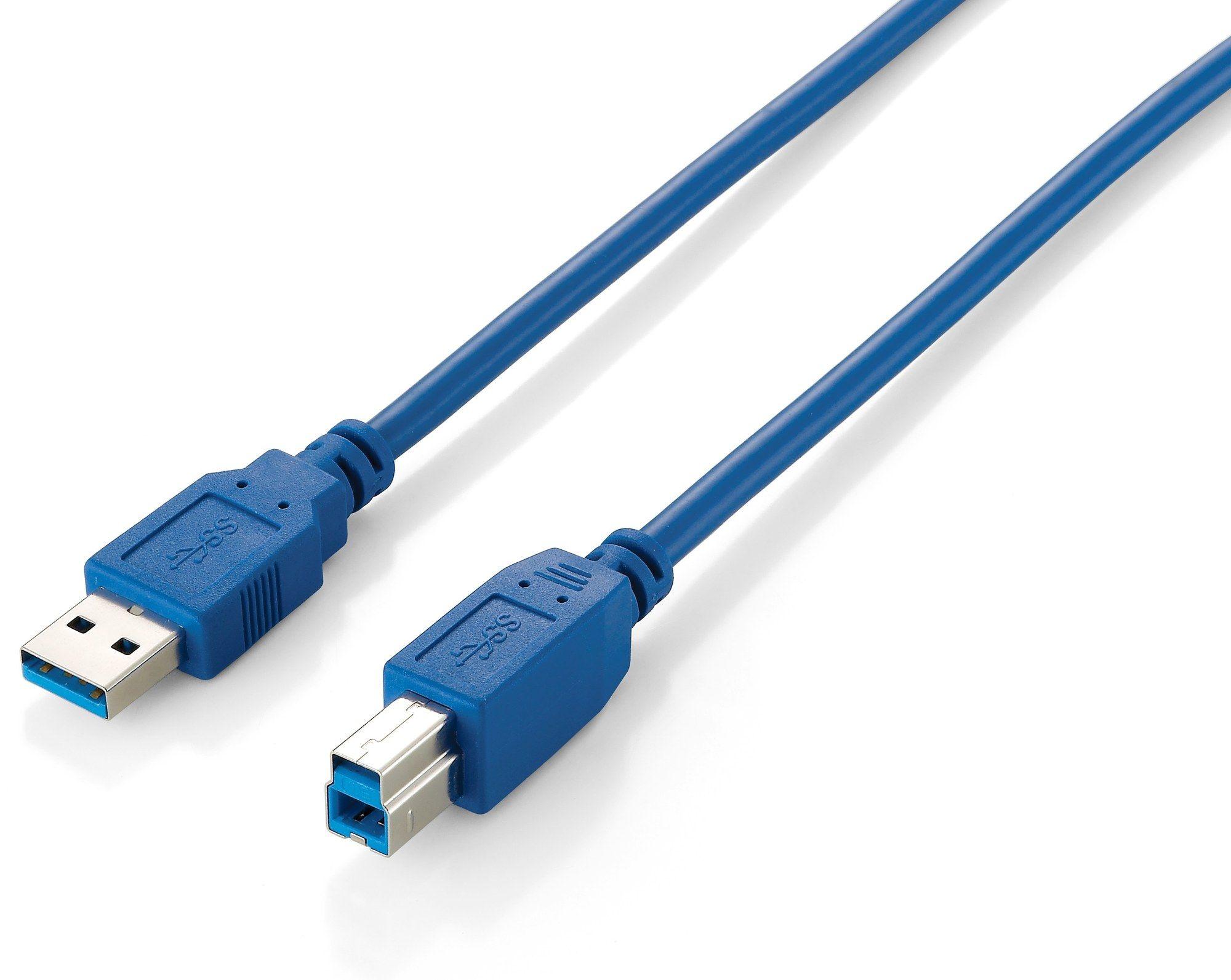Cabo USB Tipo A para Tipo B EQUIP 128293 (3 m - USB B - USB A - Azul)
