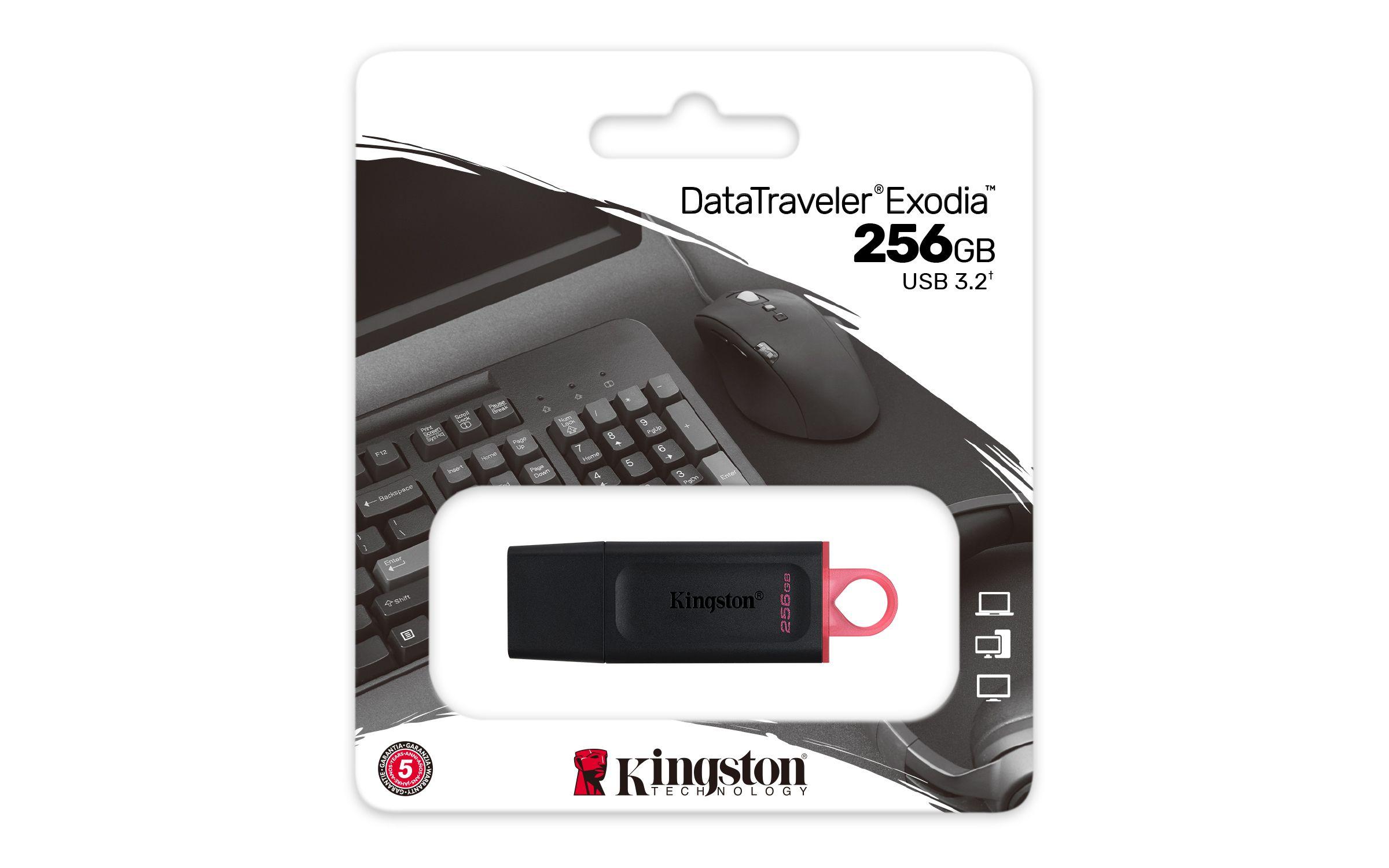 Pen USB KINGSTON DataTraveler Exodia DTX/256GB (256 GB - Tampa - USB 3.2 - Preto e Rosa) — miniatura 5