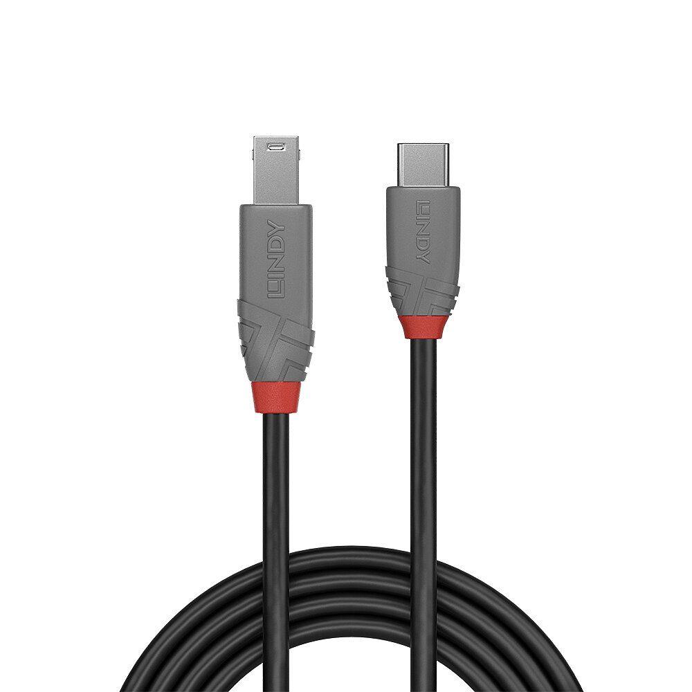 Cabo USB-C para USB-B LINDY 36665 (0,5 m - USB-C macho - USB-B macho - Preto)