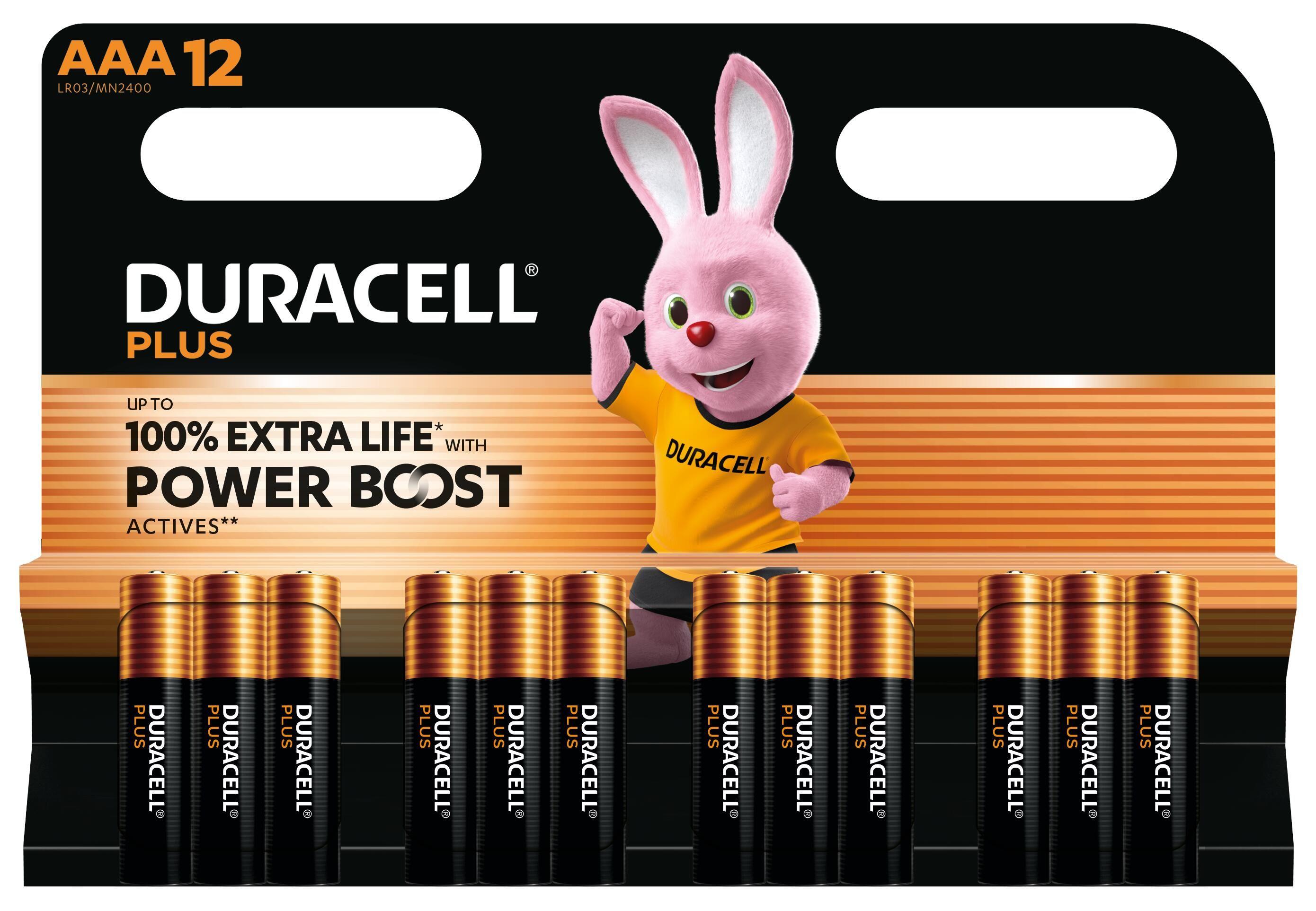 Pilhas Alcalinas DURACELL Plus Power Boost DPBLR3B12 (AAA - 12 Unidades)