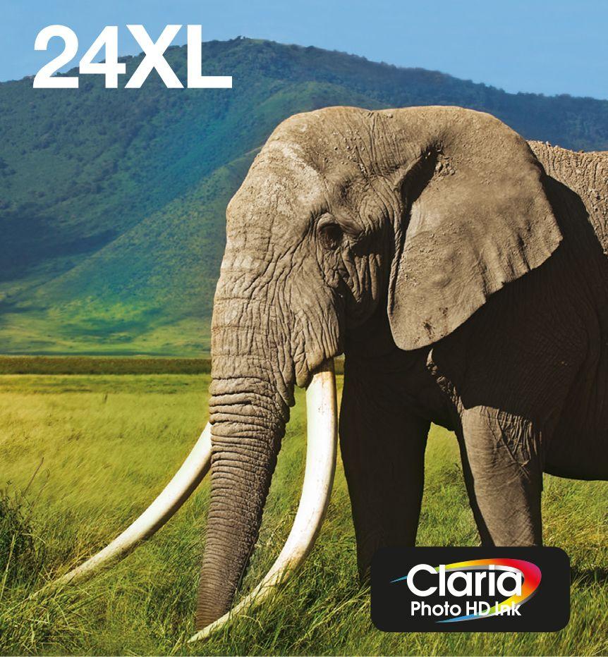 Multipack de Tinteiros EPSON 24XL Elefante (6 Cores - Preto, Ciano, Ciano Claro, Magenta, Magenta Claro e Amarelo)