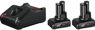 Conjunto de Baterias e Carregador BOSCH GAL 12V-40 (Preto)