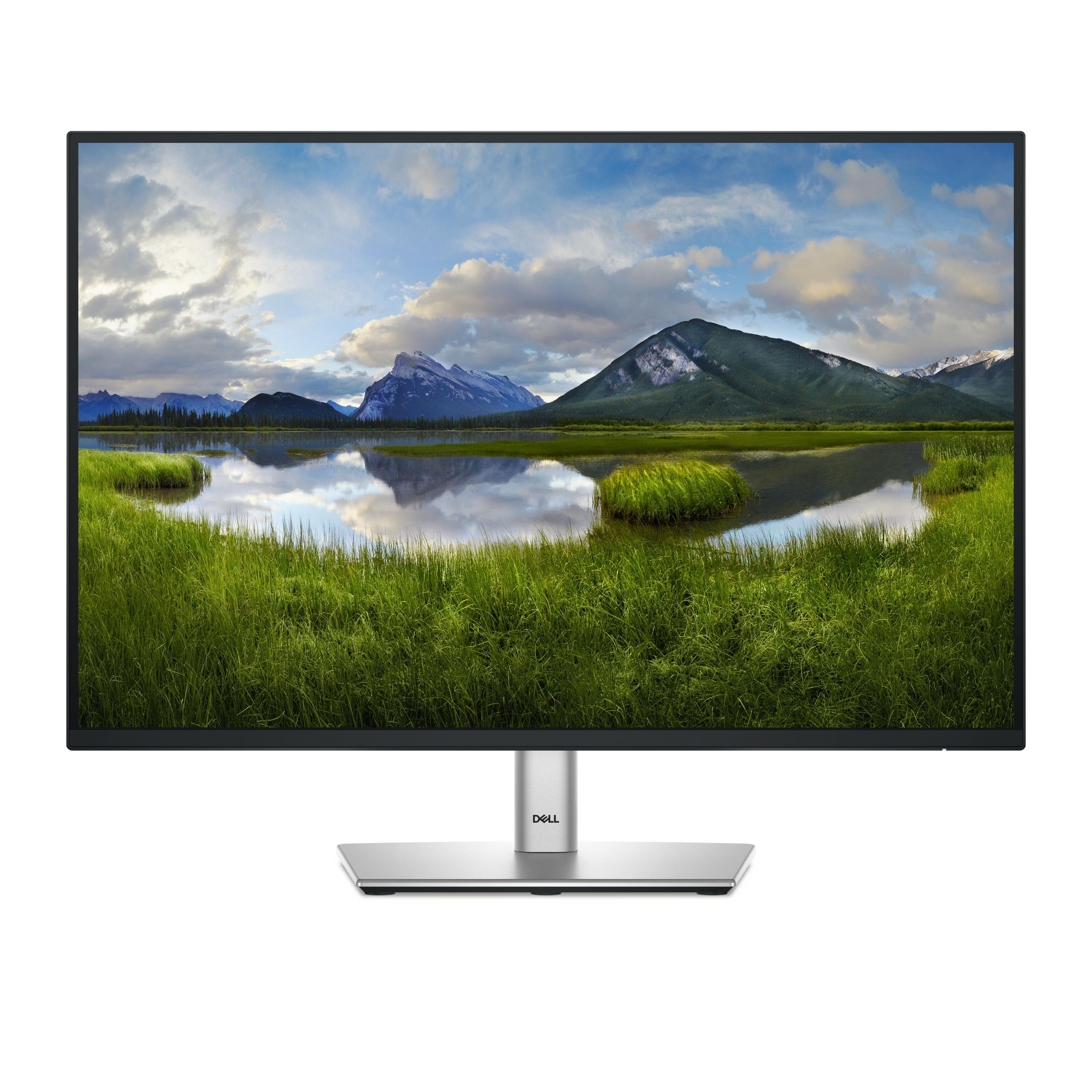 Monitor DELL Pro Plus P2425 (24,1" - IPS - 100 Hz - Preto)