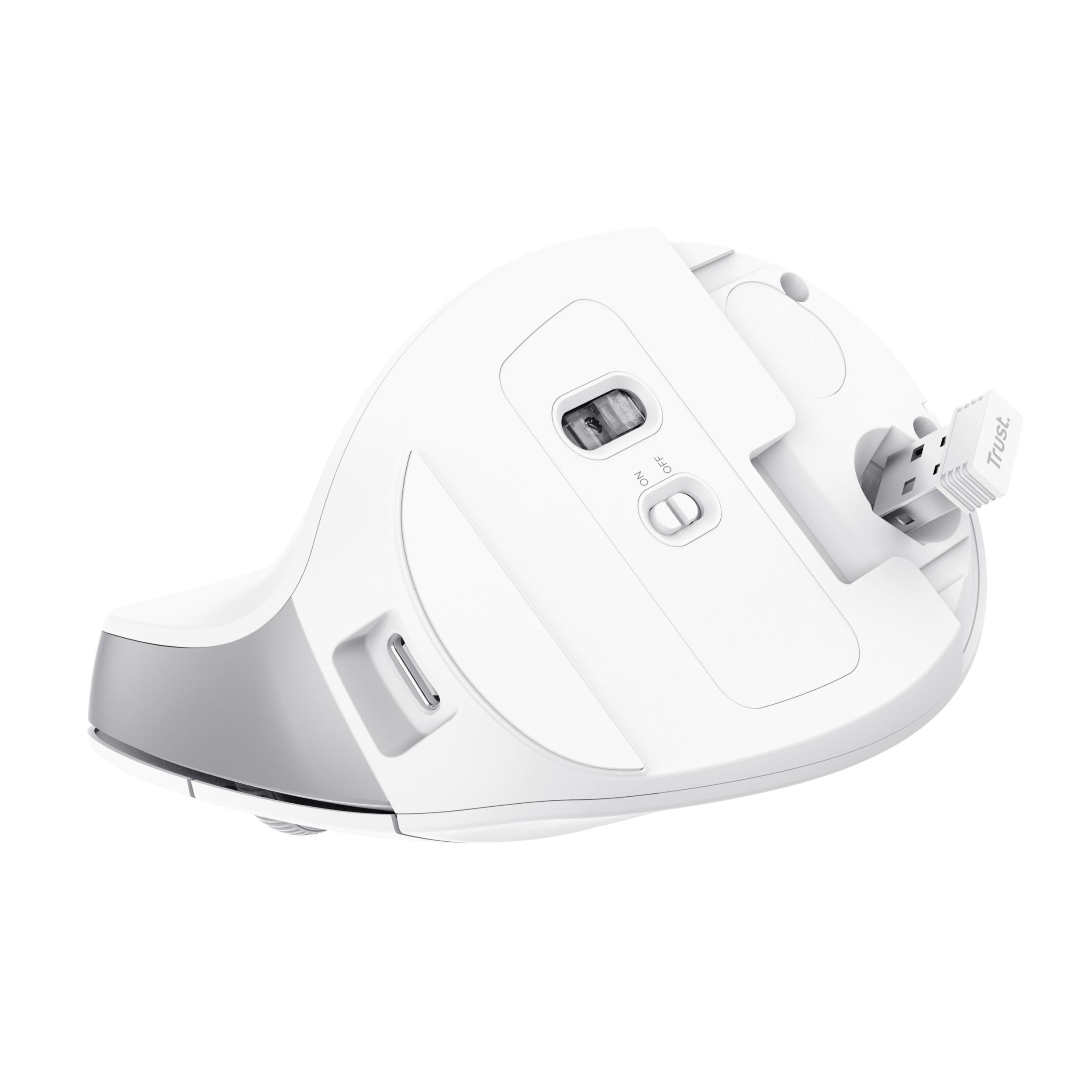 Rato TRUST Bayo II (Mão direita - 2400 DPI - Ótico - Branco) — miniatura 8