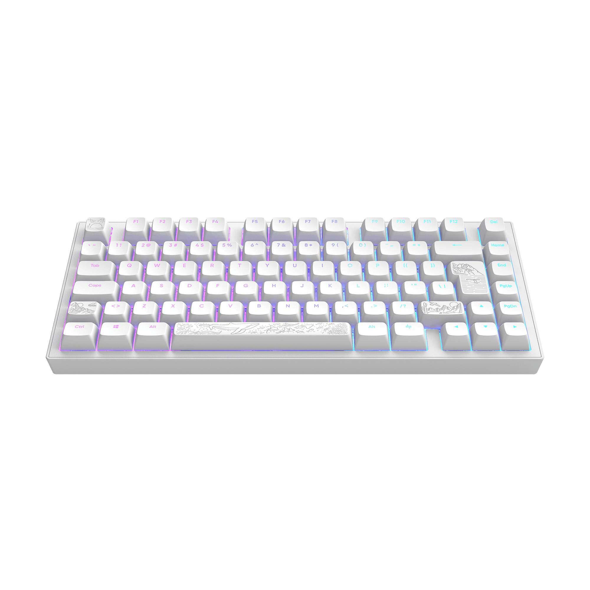 Teclado Gaming DARK PROJECT ALU81 Terra Nostra White (QWERTZ, ISO DE - 75% - USB - Branco)