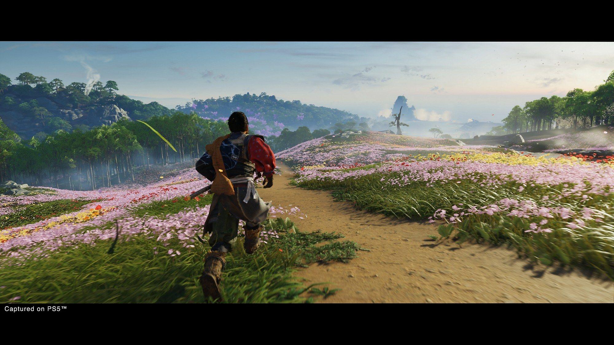 Videojogo SONY Ghost of Tsushima Director's Cut (PS5 - Versão do Diretor), miniatura 11