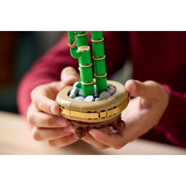 LEGO 10344 Botanicals Bambu da Sorte (18+ anos - 325 peças) — miniatura 4