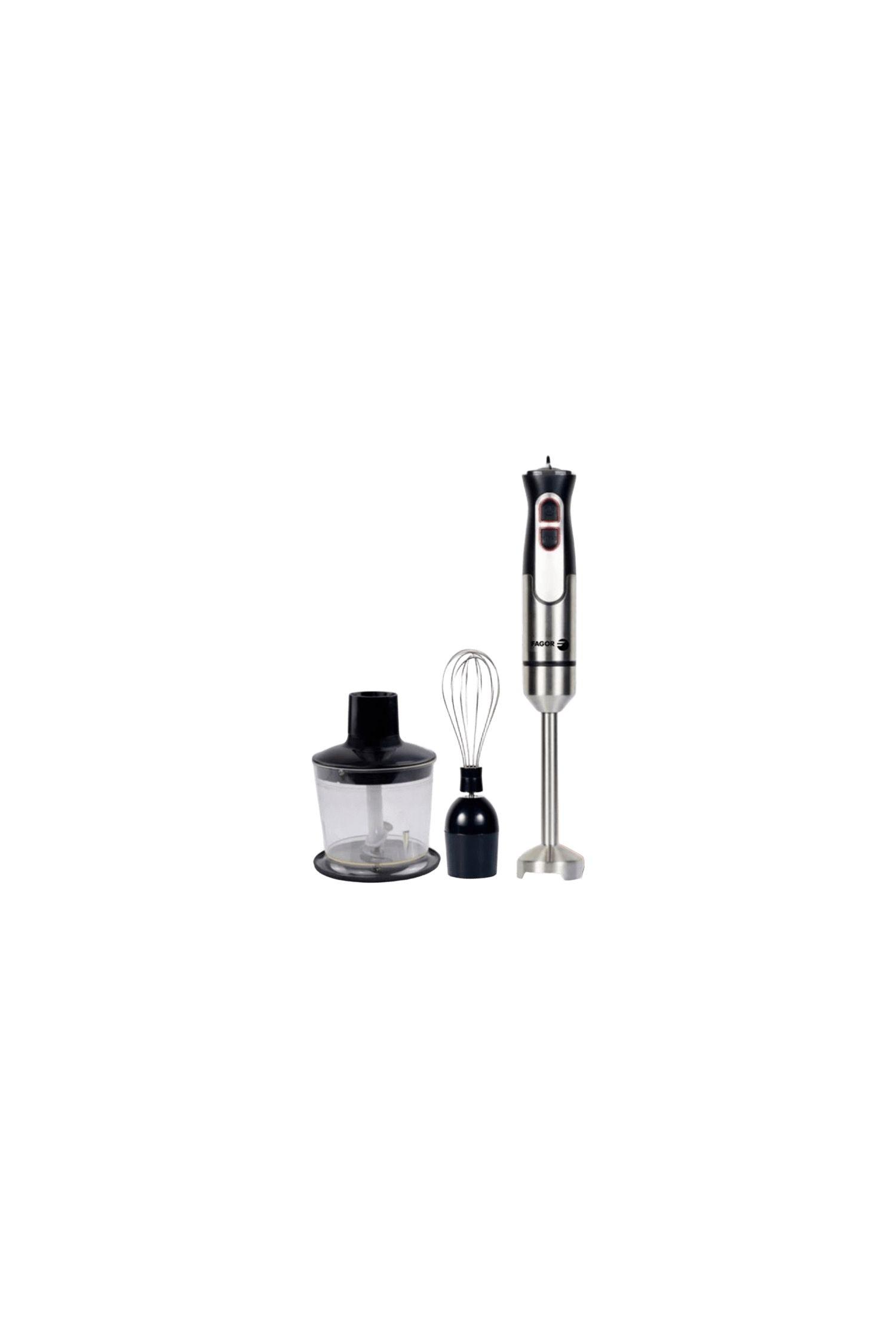 Varinha Mágica FAGOR Divamix Innox (1000 W)