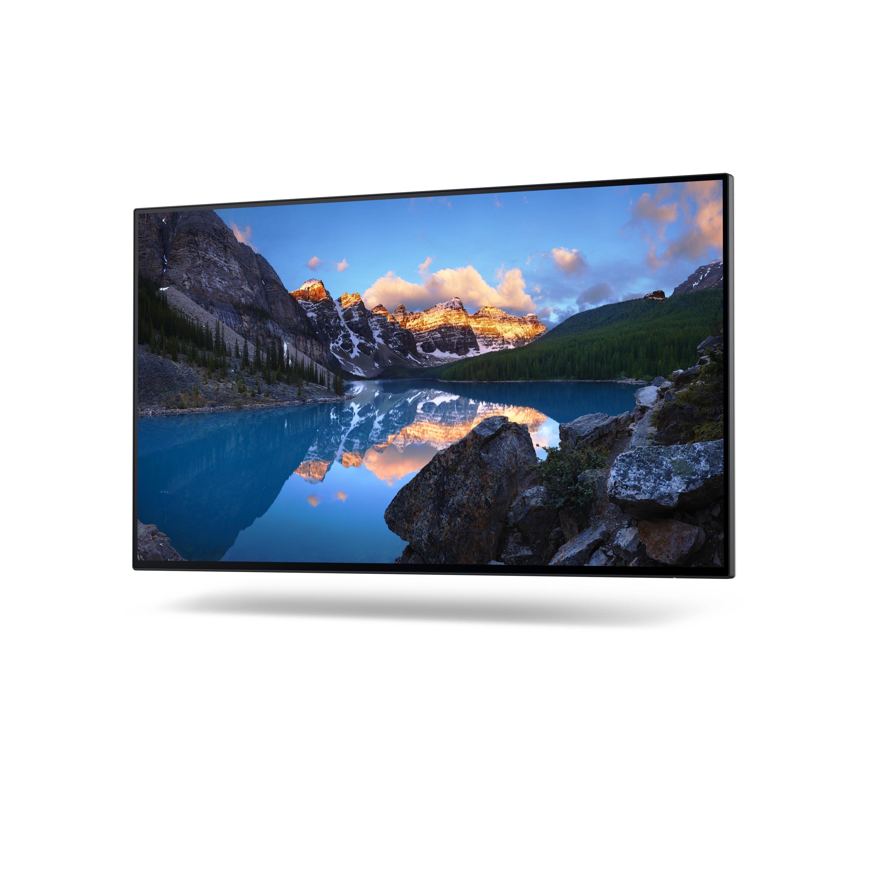 Monitor DELL UltraSharp U2422H (23,8" - IPS - 60 Hz - Prateado) — miniatura 5