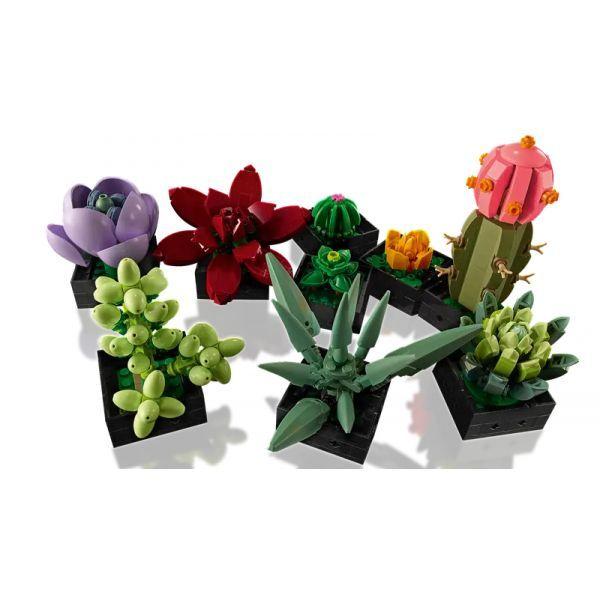LEGO 10309 Icons Suculentas (18+ anos - 771 peças) — miniatura 4