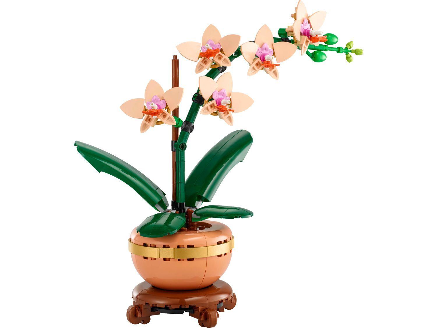 LEGO 10343 Botanicals Orquídea em Miniatura (18+ anos - 274 peças)