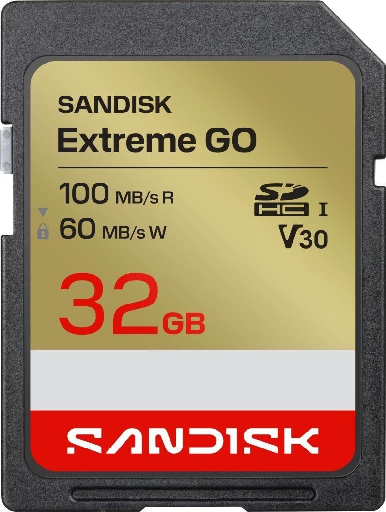 Cartão de Memória SANDISK Extreme GO SDSDXGN-032G-GNCIN (32GB - Até 100 MB/s)