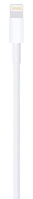 Cabo APPLE MUQW3ZM/A (1 m - USB-A - Branco) — miniatura 5
