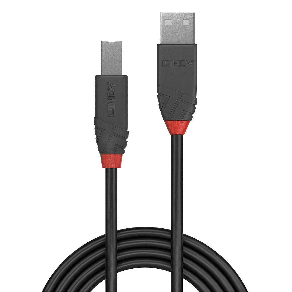 Cabo USB LINDY 36670 (0,2 m - USB-A macho - USB-B macho - Preto e Cinzento) — miniatura 2
