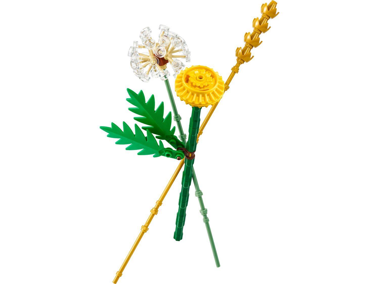LEGO 30701 Botanicals Flores do Campo (9+ anos - 77 peças)