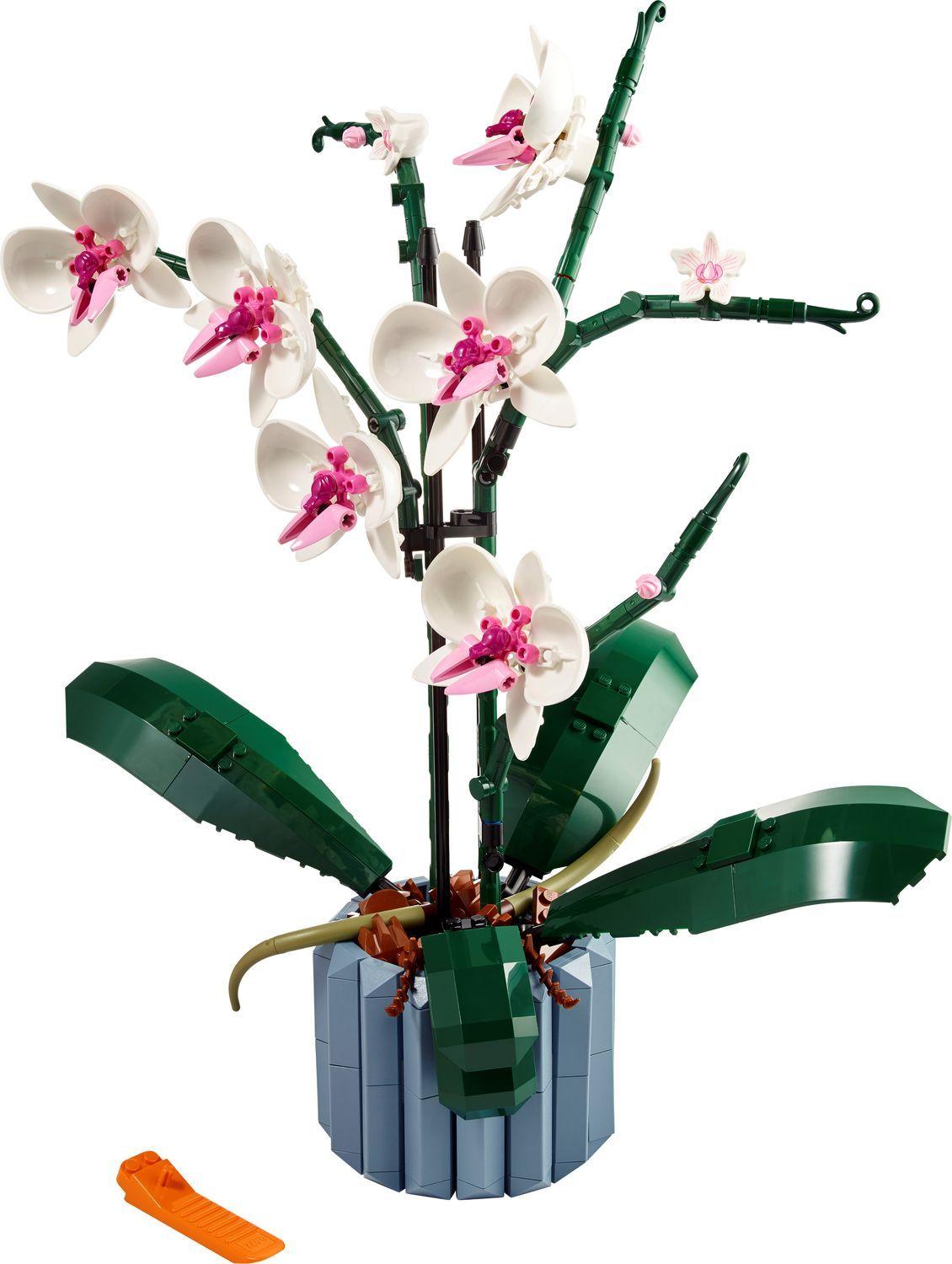 LEGO 10311 Icons Orquídea (18+ anos - 608 peças)