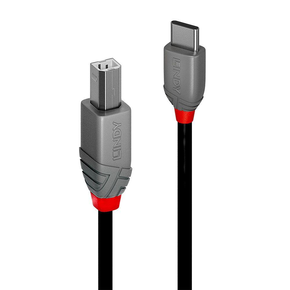 Cabo USB-C para USB-B LINDY 36942 (2 m - USB B - USB C - Preto)