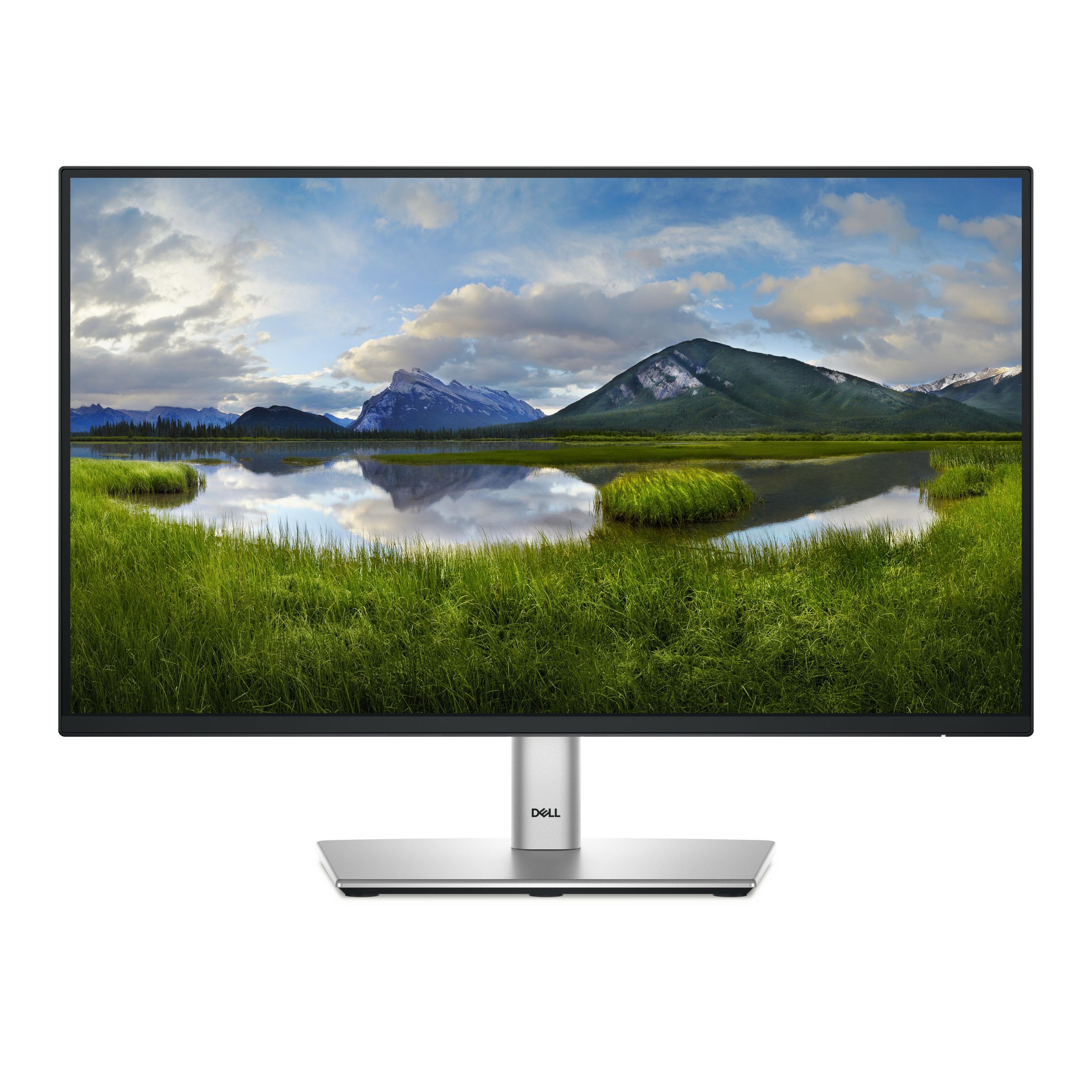 Monitor DELL P2225H (21,5" - IPS - 100 Hz - Preto e Prateado)